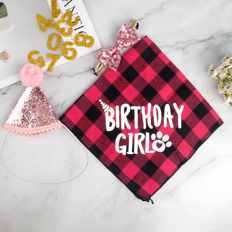 Pack of 4 Cat Birthday Accessories, Cat Birthday Hat with