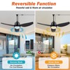 BZX Waterproof Outdoor Ceiling-Fan with Light - 42" Modern Ceiling