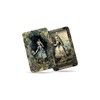 The Tarot of Alice - Major Arcana