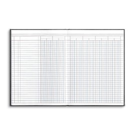 Staples Columnar Book, 12-Columns, 80 Pages