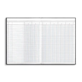 Staples Columnar Book, 12-Columns, 80 Pages