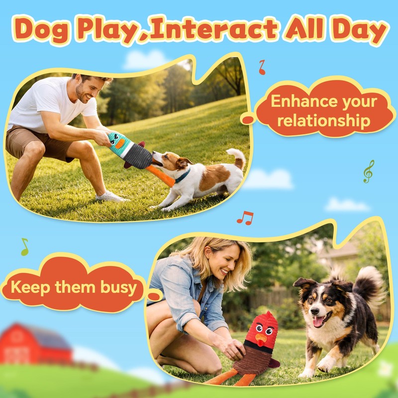 PatsFran Dog Toys for Aggressive Chewers, 2 Pack No Stuffing