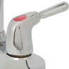 Sink Faucet 2 Handle 2 Holes Deck Plate Design Hot