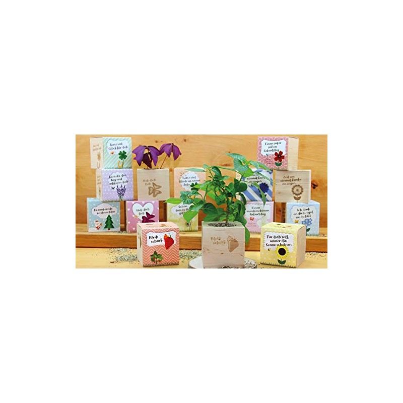 Feel Green Celebrations Ecocube, Orchid Tree, Wooden Cube with Laser