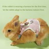WEWAYKGJ Rabbit Harness and Leash Set 2 Pieces Adjustable Bunny