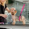 Jelly Pet Dog Belly Loop Restraint for Pet Grooming Table