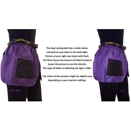 Dingo 16465-2 Training Belt, Sport, Agility, Fetch, Obedience, Lead Guide, Nose Work, Behavior Training, Trainer Belt with Many Pockets, Purple, Size XL