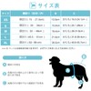 Avont 3 Pcs Female Dog Manor Belt Washable Reusable High