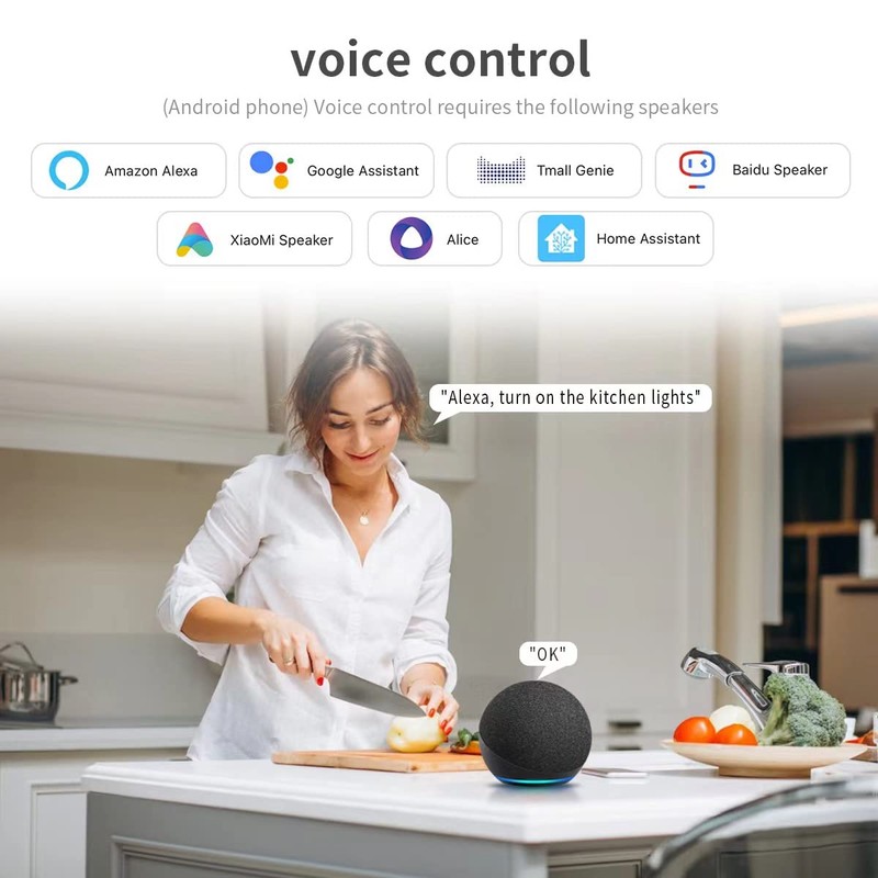Smart Plug Voice Control Compatible with Alexa Google Assistant, APP