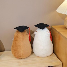 CHDBLOCK Graduation Capybara Plush Gift Set Include Stuffed Animal Capybara with Gown Cap with Graduation Gift for Him Her(Brown)