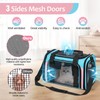 Discala Cat Dog Carrier Pet Carrier for Small Medium Cats