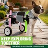 Lightweight Dog Wheelchair for Back Legs,Adjustable Mobility Cart