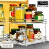 LYNK PROFESSIONAL® Pull Out Spice Rack Organizer for Inside Kitchen
