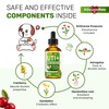 AlfaLovePets Cat & Dog UTI Treatment | Kidney Support for