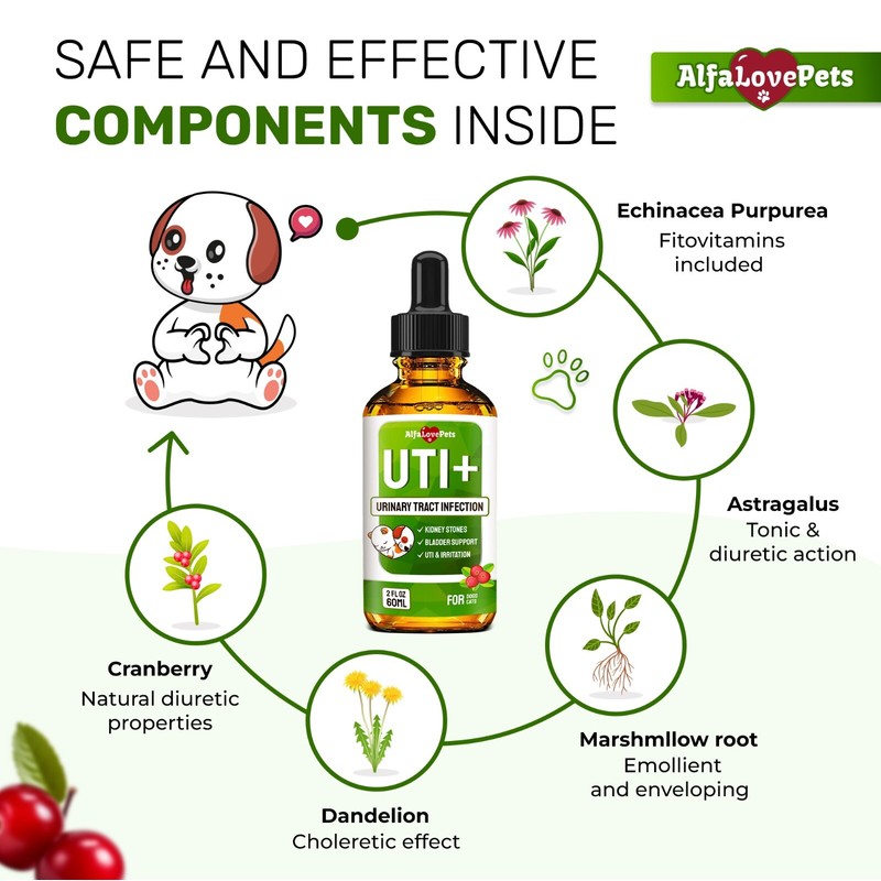 AlfaLovePets Cat & Dog UTI Treatment | Kidney Support for