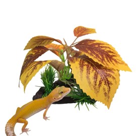 PIKAZISO Reptile Plants for Terrarium, Amphibian Habitat Decor Plants with Artificial Stone Base for Gecko Chameleon Snake Tortoise - Fake Coleus scutellarioides (L.) Benth.