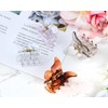 coiyie Butterfly Hair Clips for Women 1.8 Inch Nonslip Clear