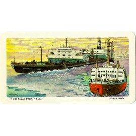 RED ROSE TEA CARD, SERIES: THE ARCTIC,THE MANHATTAN VOYAGE