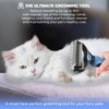 Undercoat Rake for Dogs & Cats, Dematting Comb with Extra