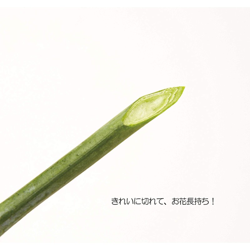 Kai KAI Seki Magoroku Flower Cutting Shears, Black, Approx. Width