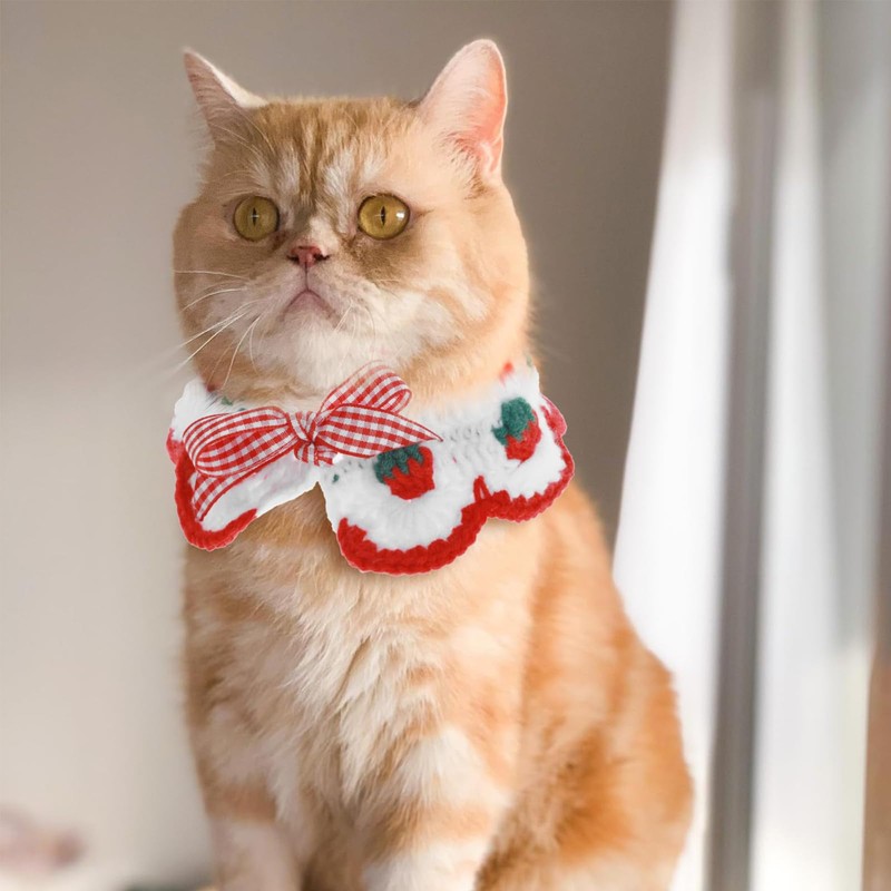 OuryTech Cat Collar, Cat Collar and Safety Collar, Breakaway Kitten