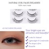 FAIRYGATE B5320 False Eyelashes Extensions Cat Eye Short 7 Pairs