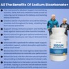 Organic Sodium Bicarbonate Alkaline Capsules - Boosts Kidney Health, Neutralizes