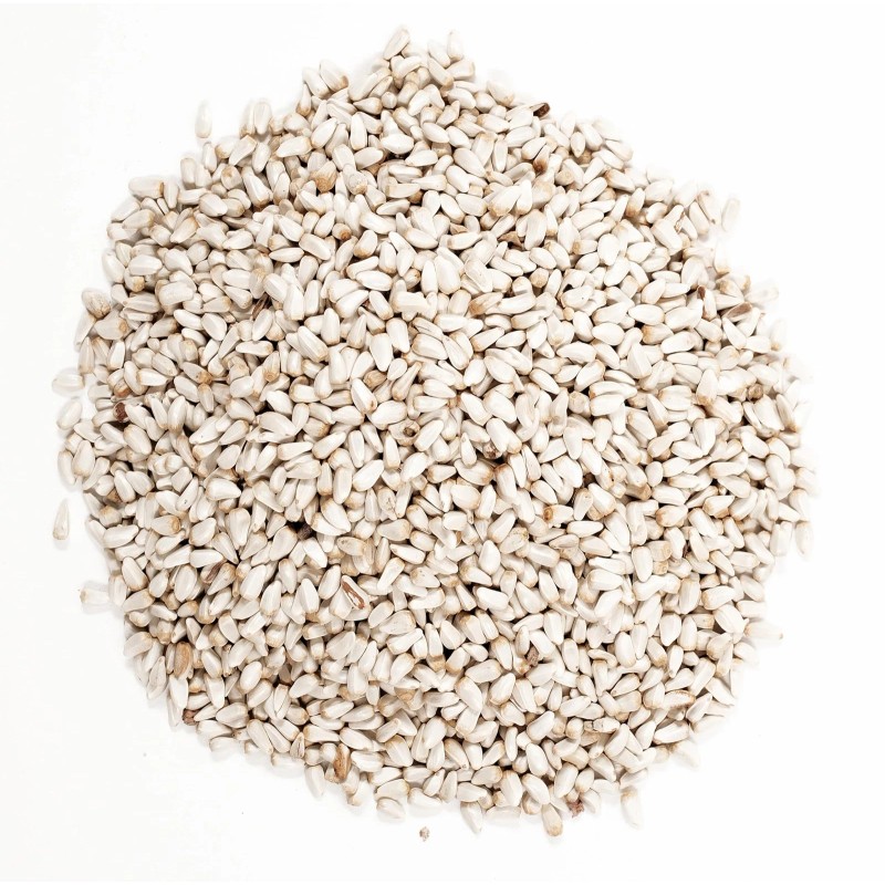 Wagner's 57075 Safflower Seed Wild Bird Food, 5 Pound (Pack