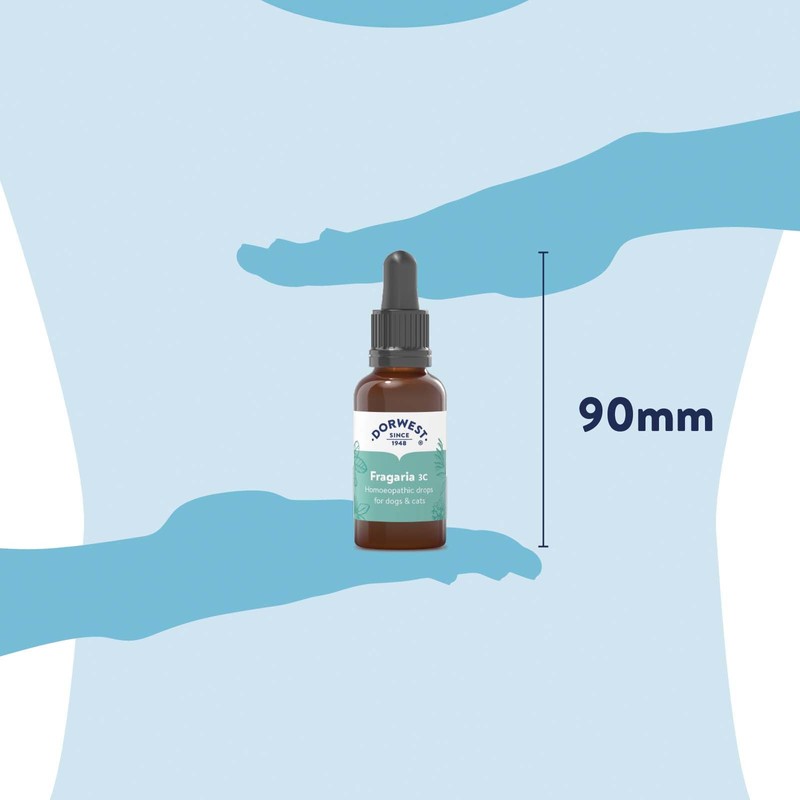 Dorwest Herbs Fragaria 3C Homoeopathic Liquid Remedy for Dogs &