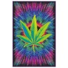 Studio B Canna Vibes NonFlocked Blacklight Poster 24x36