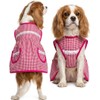 Genérico Mandil para Perro Estilo Doñita con Encaje y Bolsillos