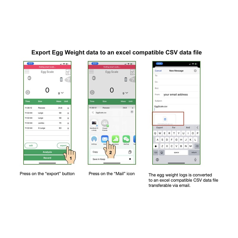 Super Egg Scale - Egg Sizing, Sizes, Grading, Egg Weight