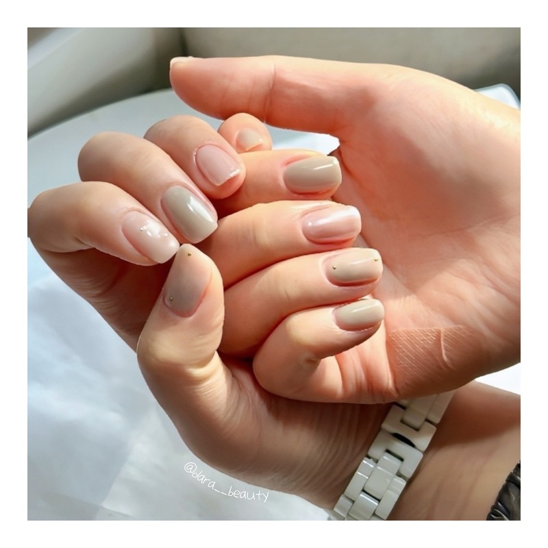 Dara Beauty February 2025 Art of the MonthKhaki Nail❣ -