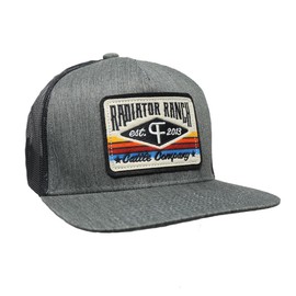 Rodeo Time Dale Brisby Radiator Ranch Cattle Company PF Serape Patch Adjustable Snapback Hat, Grey, One Size