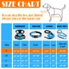 LOBEVE No Pull Dog Harness, Collar & Leash Set |