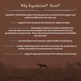 Equithrive Horse Hoof Supplement Pellets with Biotin, Chelated Trace Minerals, Selenium, Methionine, and Omega 3, Equine Hoof Care, 10 lbs