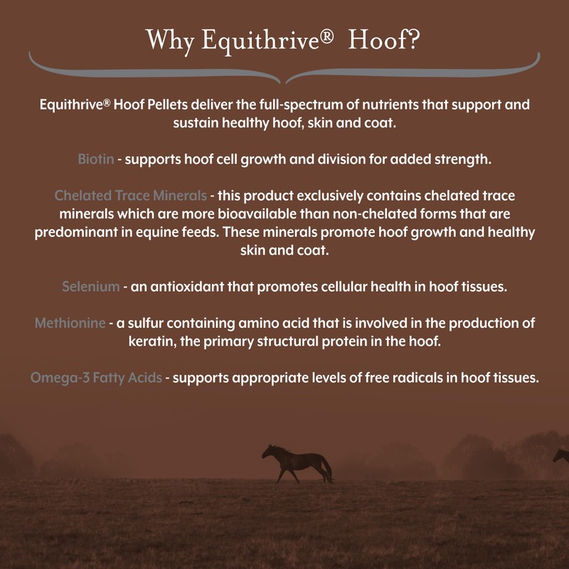 Equithrive Horse Hoof Supplement Pellets with Biotin, Chelated Trace Minerals,
