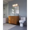 Design House 588913-SS Modern Single-Function Dual-Mount Hand Held Bidet Sprayer