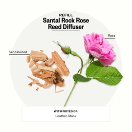 Apotheke Luxury Scented Oil Reed Diffuser Liquid Refill (Santal Rock Rose) - Premium Home Fragrance Diffuser Refill Set with Sticks…