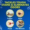 OxiClean Large Carpet Cleaner Liquid Solution for Steam Cleaning Machines,