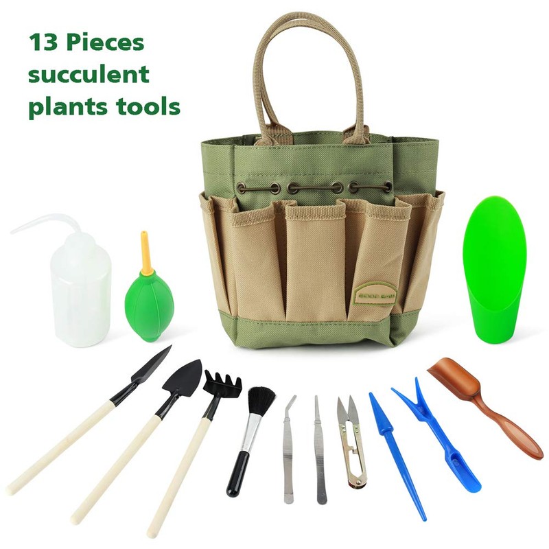 G GOOD GAIN Garden Succulent Kit with Organizer Bag, 14