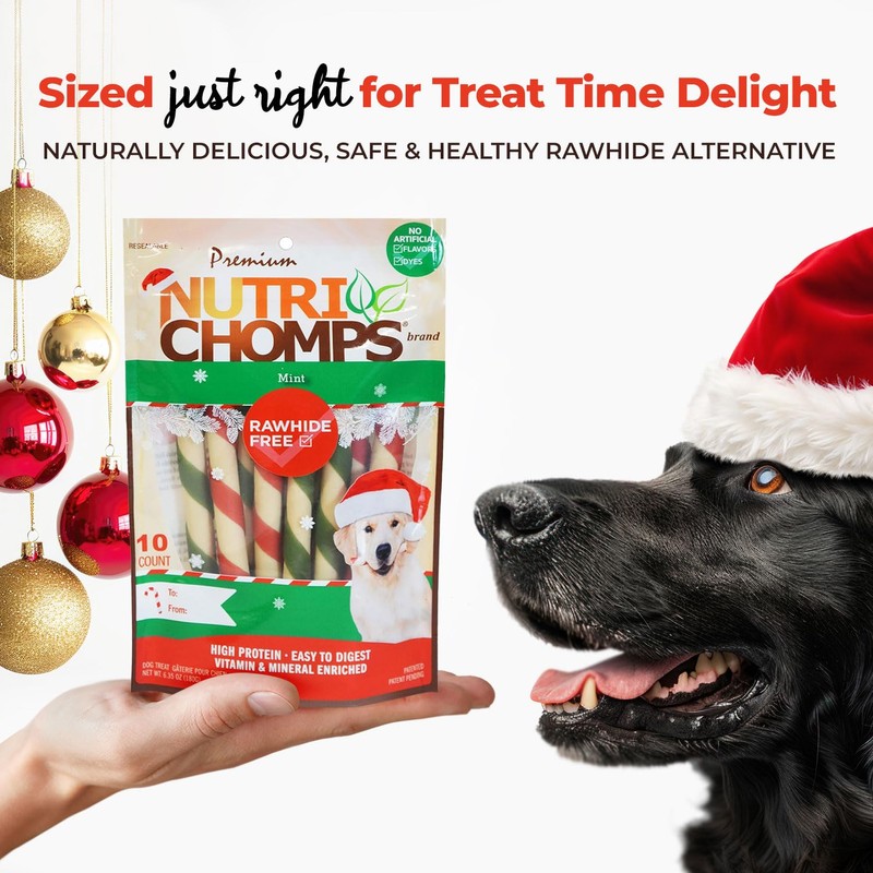 NutriChomps Dog Chews, 5 inch Twists, Mint Flavor, 10 Count,
