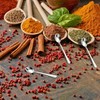 GlamRays Pack of 8 Tiny Stainless Steel Spoons for Spice