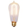 Vickerman Warm White E26 ST58 LED Bulb
