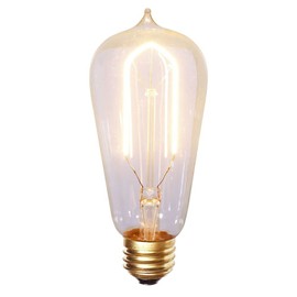 Vickerman Warm White E26 ST58 LED Bulb