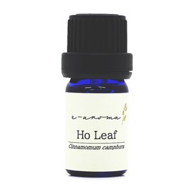 Holy Leaf 10ml e-aroma Essential Oil Essential Oil Aroma Oil (10ml)