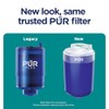PUR RF99994SP filtro de repuesto, pequeño, azul