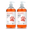 Brilliant Salmon Oil for Pets 1L x 2, Skin and Coat / 브릴리언트 반려동물용 연어 오일 1L 2개, 피부피모