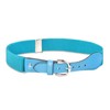 HOLD’EM Kids Toddler Belt Leather Closure Elastic - Teal
