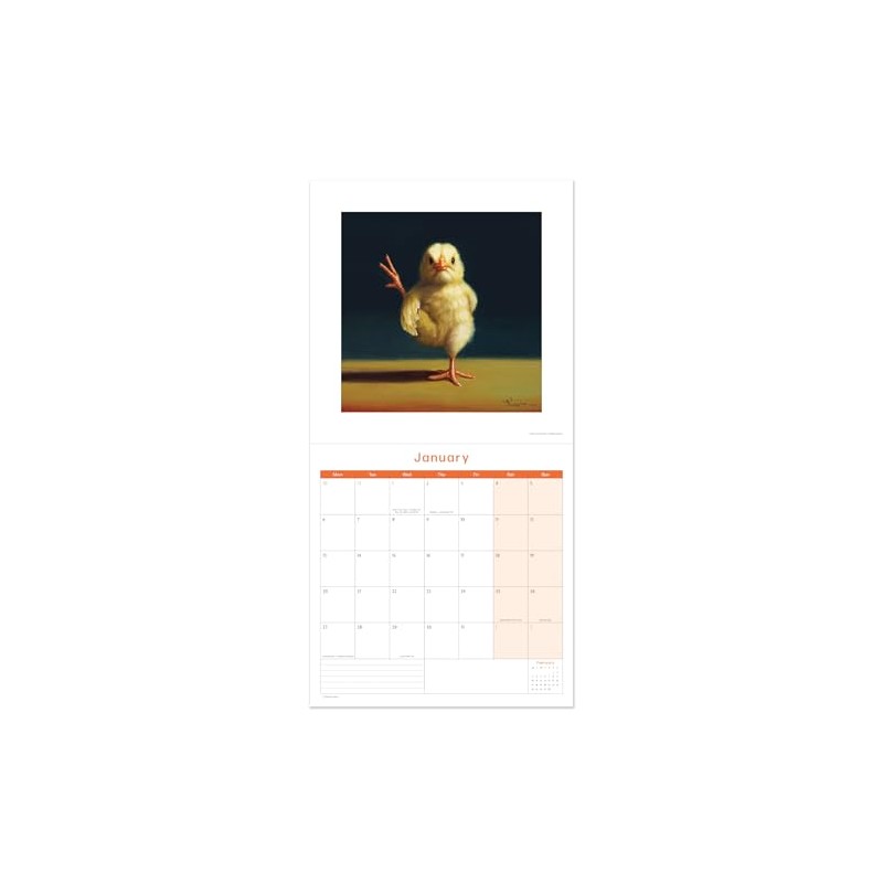 2025 Yoga Chick Square Calendar